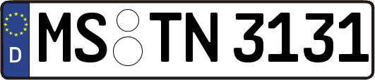 MS-TN3131