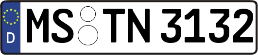 MS-TN3132