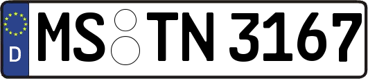 MS-TN3167
