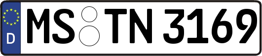 MS-TN3169