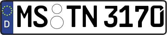 MS-TN3170