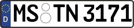 MS-TN3171