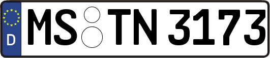 MS-TN3173