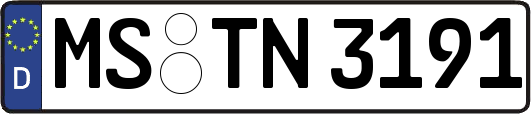 MS-TN3191