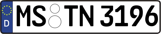 MS-TN3196
