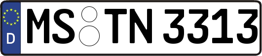 MS-TN3313