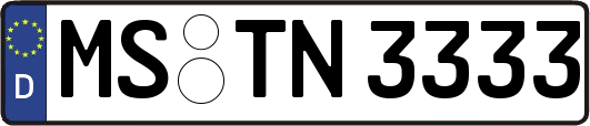 MS-TN3333