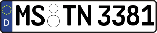 MS-TN3381