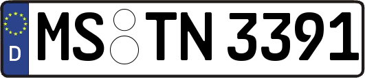 MS-TN3391