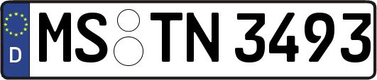 MS-TN3493