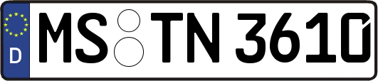 MS-TN3610