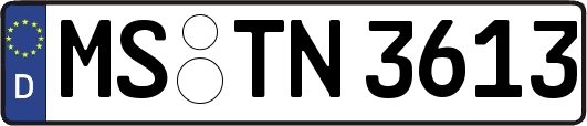 MS-TN3613