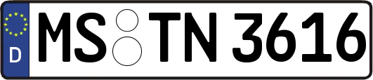 MS-TN3616