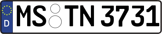 MS-TN3731