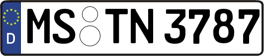 MS-TN3787
