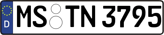 MS-TN3795