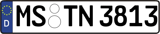 MS-TN3813