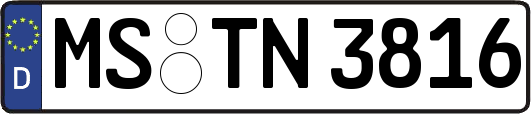 MS-TN3816
