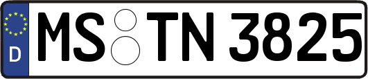 MS-TN3825