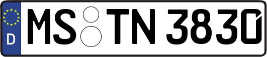 MS-TN3830