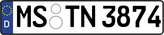 MS-TN3874