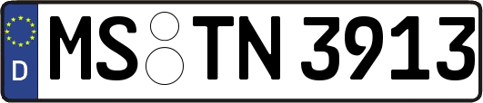 MS-TN3913
