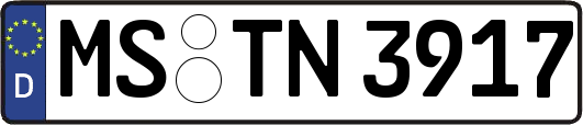 MS-TN3917