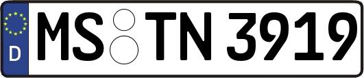 MS-TN3919
