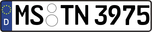 MS-TN3975