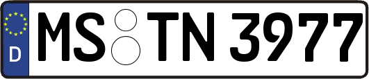 MS-TN3977