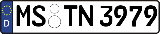 MS-TN3979