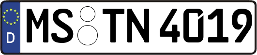 MS-TN4019