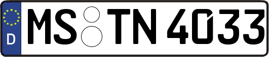 MS-TN4033