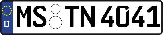 MS-TN4041