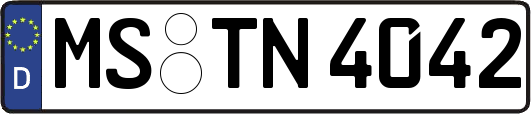 MS-TN4042