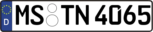 MS-TN4065