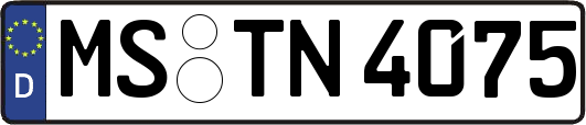 MS-TN4075