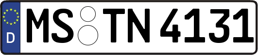 MS-TN4131