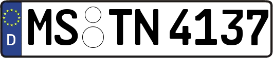 MS-TN4137