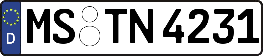 MS-TN4231