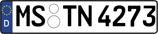 MS-TN4273