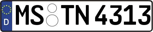 MS-TN4313