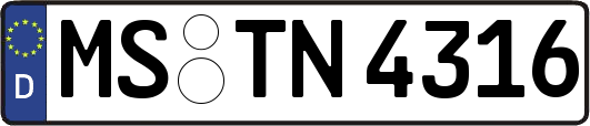 MS-TN4316