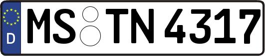 MS-TN4317