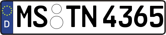 MS-TN4365