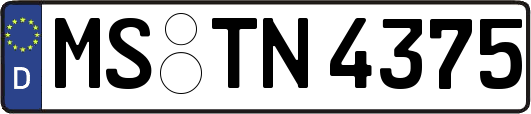 MS-TN4375