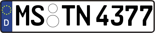 MS-TN4377