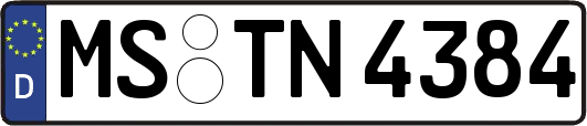 MS-TN4384