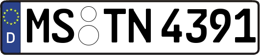 MS-TN4391