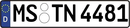 MS-TN4481